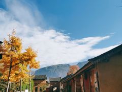 -古道惠风饭庄