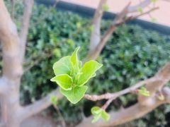 -周周有辣火锅馆(玖耀里店)