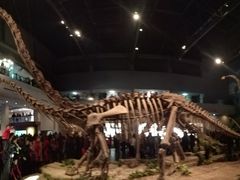 -自贡恐龙博物馆