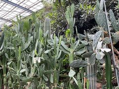 -呀路古热带植物园