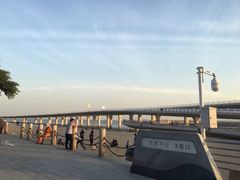 -演武大桥观景平台