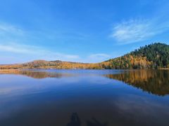 -五营红松林海景区