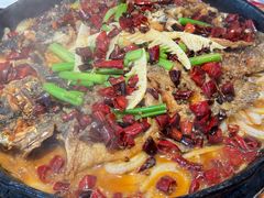 -老板恋上鱼(恒隆广场店)