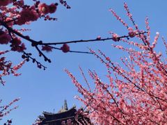 -杭州半山国家森林公园