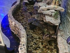 -懂生足疗SPA·康怡(天河北店)