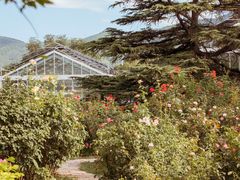 -国家植物园南园