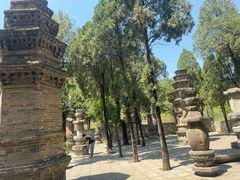 -四门塔风景区