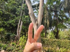 -中国科学院西双版纳热带植物园