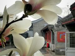 -北京石刻艺术博物馆(五塔寺)