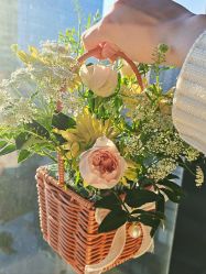 -baby bella小贝拉母婴护理中心(北京东隅店)