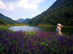 -广州市石门国家森林公园