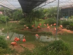 -无锡动物园·太湖欢乐园