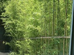 -外滩悦榕庄·海怡西餐厅