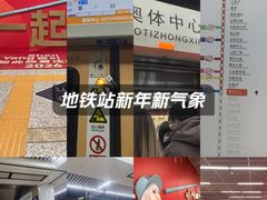 -奥体中心(地铁站)