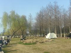-苏州湾体育公园