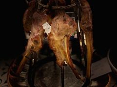 馕坑架子肉-阿拉丁新疆风味餐厅·清真(罗廊巷店)