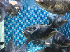 -农汤老店(顺联公园里店)