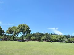 -上海滨江森林公园