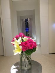-奥斯芬欧系贵族SPA
