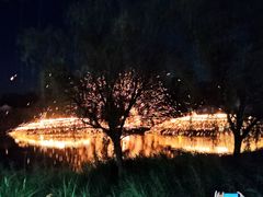 -淄博花灯齐彩城