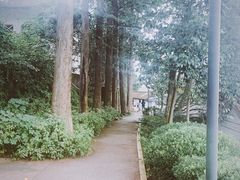 -三岔湖景区