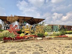 -上海长兴岛郊野公园