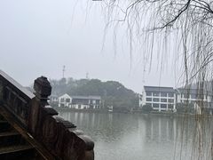 -鲁镇