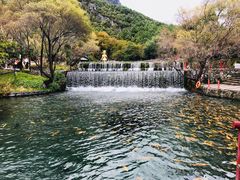 -玉水寨丽江源餐厅