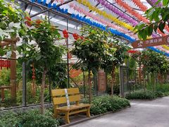 -南宫五洲植物乐园