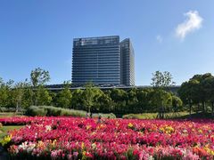 -春花秋色城市公园