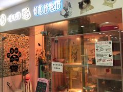-三花喵·撸猫购宠·宠物生活馆(虹桥南丰城店)