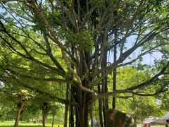 -红色娘子军纪念园