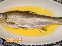 鸡汁白鱼-南京大牌档(崇文门国瑞店)