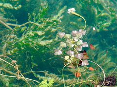-丽江泸沽湖景区