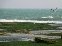 -日照灯塔风景区