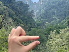 -泰山风景名胜区