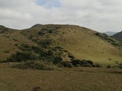 -大姆山草场
