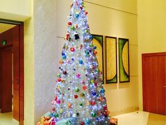 iphone_upload_pic-上海浦东康桥绿地假日酒店