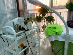 -荟草堂专业痘肌皮肤管理