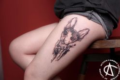 动物-AC TATTOO 纹身