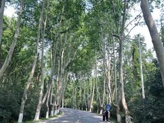 -紫金山山顶公园