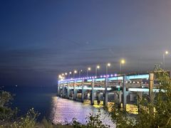 -星海湾跨海大桥