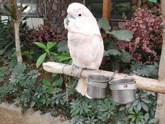 -南宫五洲植物乐园