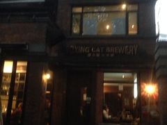 Boxing&nbsp;Cat&nbsp;Brewery(复兴西路店)-Boxing Cat Brewery拳击猫精酿啤酒馆(永福店)