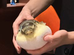 -肆月河豚·淮扬菜·湘菜(华天店)