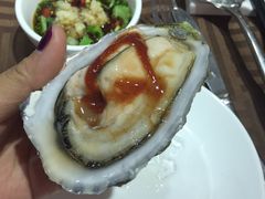 生蚝-金海阁海鲜火锅