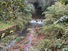 -灵隐飞来峰景区