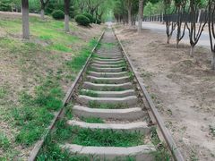 -永定河休闲森林公园