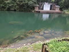 -祁门牯牛降观音堂风景区