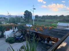-翠田Green Field Kitchen